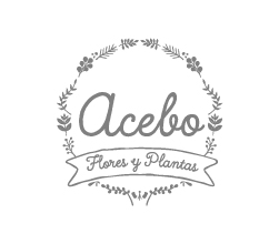 Logotipo Acebo - Unos tipos muy serios